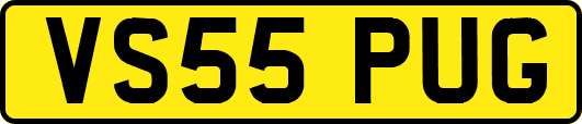 VS55PUG