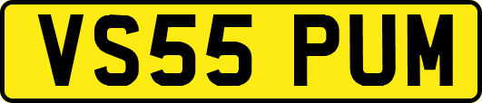 VS55PUM