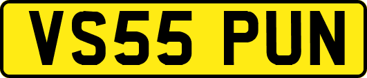 VS55PUN