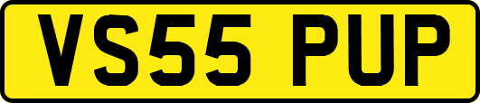 VS55PUP