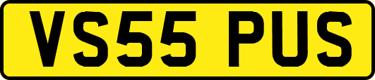 VS55PUS