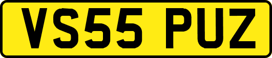 VS55PUZ