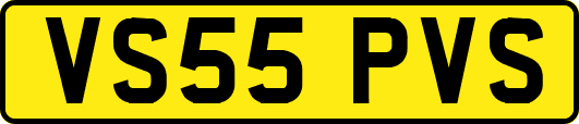 VS55PVS
