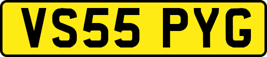 VS55PYG
