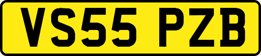 VS55PZB