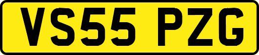 VS55PZG