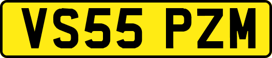 VS55PZM