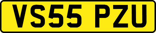 VS55PZU