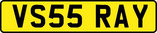 VS55RAY
