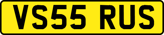 VS55RUS