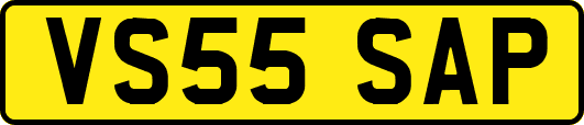 VS55SAP