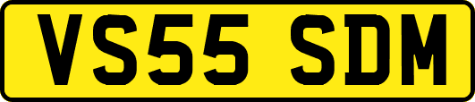 VS55SDM
