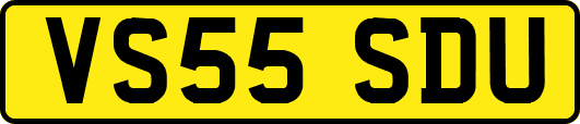 VS55SDU