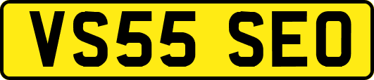 VS55SEO