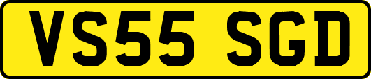 VS55SGD