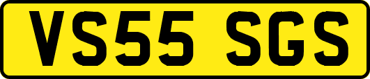 VS55SGS