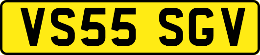 VS55SGV