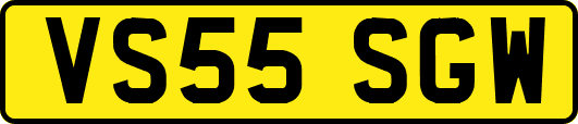 VS55SGW
