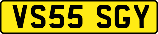 VS55SGY