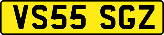 VS55SGZ