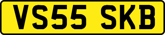 VS55SKB