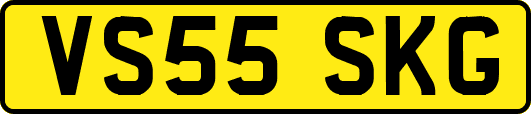 VS55SKG