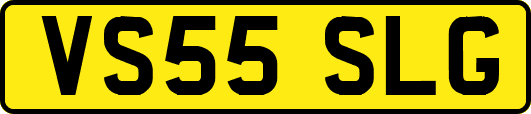 VS55SLG