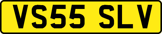 VS55SLV
