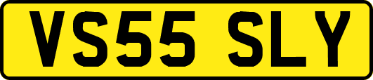 VS55SLY