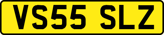 VS55SLZ