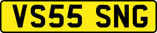 VS55SNG