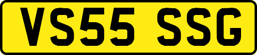 VS55SSG