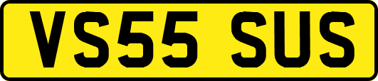 VS55SUS