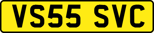VS55SVC