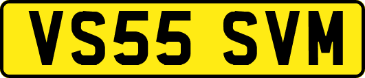 VS55SVM