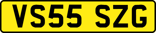 VS55SZG