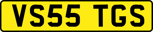 VS55TGS
