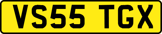 VS55TGX