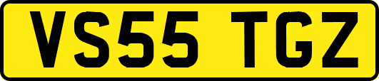 VS55TGZ