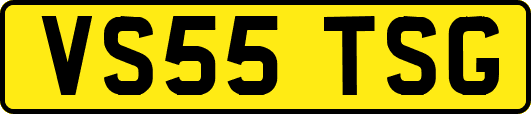 VS55TSG