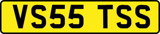 VS55TSS