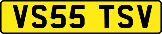 VS55TSV