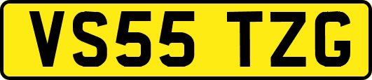 VS55TZG