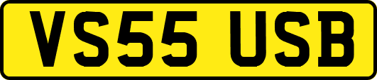 VS55USB