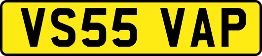 VS55VAP
