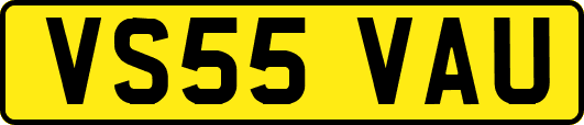 VS55VAU