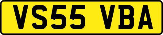 VS55VBA