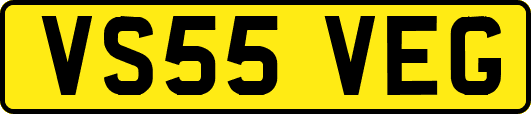 VS55VEG