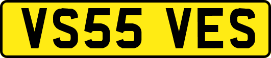 VS55VES