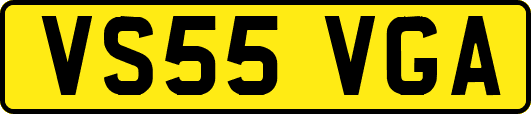 VS55VGA